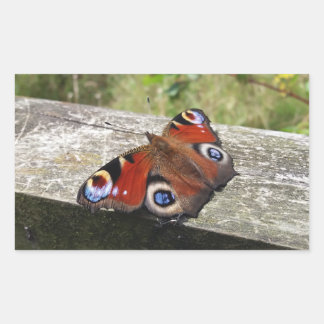 Peacock Butterfly Rechthoekige Sticker