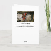 Peacock Butterfly, Verenigd Koninkrijk Kaart (Achterkant)