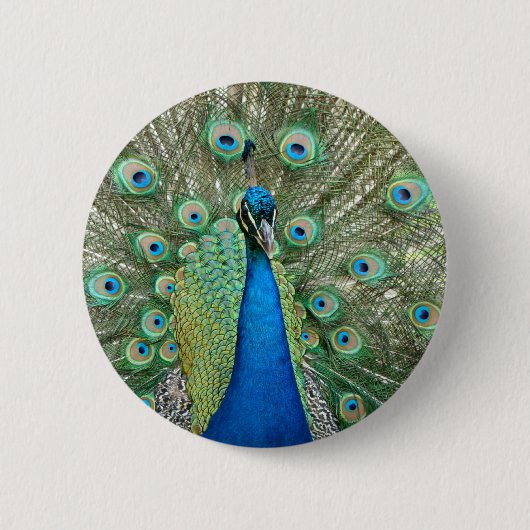 Peacock-Button Ronde Button 5,7 Cm (Voorkant)