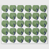 Peacock Cadeaupapier (Vlak)