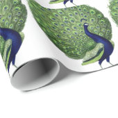 Peacock Cadeaupapier (Rol Hoek)