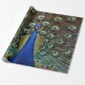 Peacock Cadeaupapier (Uitgerold)