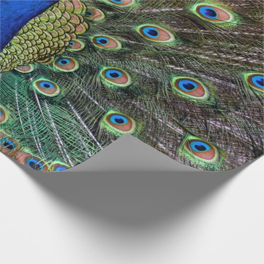 Peacock Cadeaupapier (Hoek)