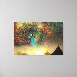 Peacock Canvas Afdruk