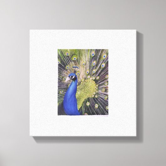 Peacock Canvas Afdruk (Voorkant)