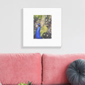 Peacock Canvas Afdruk (Insitu (Woonkamer))