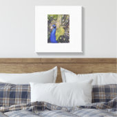 Peacock Canvas Afdruk (Insitu (Slaapkamer))
