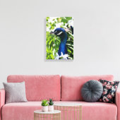 Peacock Canvas Afdruk (Insitu (Woonkamer))