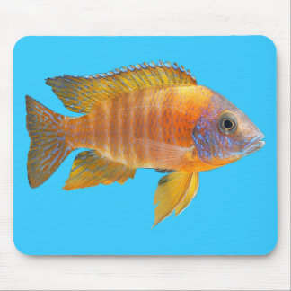 Peacock Cichlid Muismat