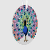 Peacock coloré (devant)