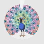 Peacock coloré (devant)