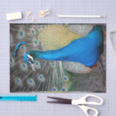 Peacock Colorful Close-up Tissuepapier (Craft)
