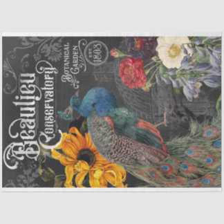  Peacock Conservatory and Botanical Garden Tissuepapier