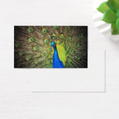 Peacock couleur beauté (Bureau)