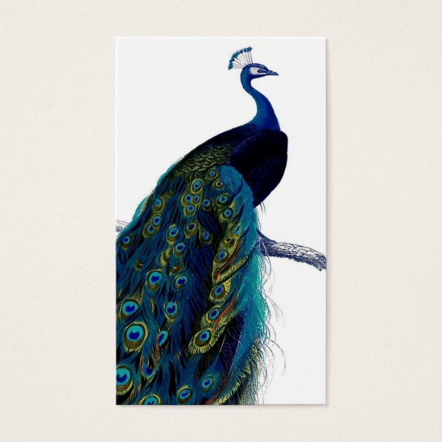 Peacock couleur bleu vintage (Devant)