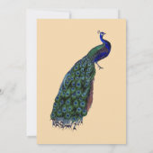  Peacock Couple's Shower Invitations Kaart (Achterkant)