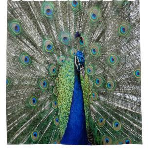 Peacock Dance Douchegordijn
