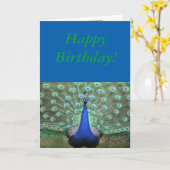 Peacock de couleur brillante, carte d'anniversaire (Fleur jaune)