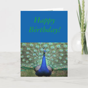Peacock de couleur brillante, carte d'anniversaire