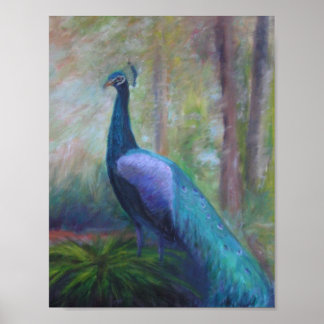 PEACOCK DE LA FONTAINE DE LA JEUNESSE Poster