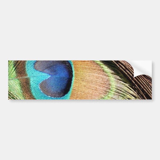 Peacock Design Bumpersticker (Voorkant)