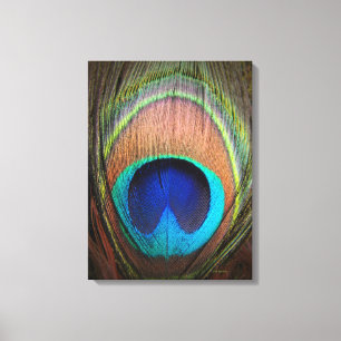 Peacock Detail Decor Art Canvas Afdruk