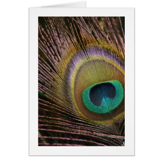 Peacock-doetherblanco kaart