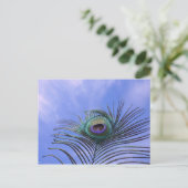 Peacock-doetherfoto Briefkaart (Staand voorkant)