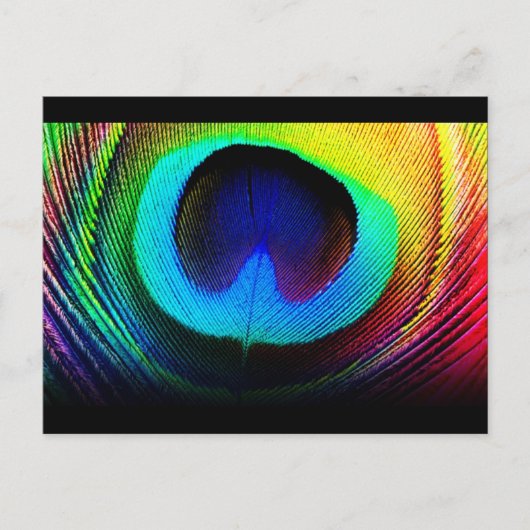 Peacock-doetherontwerp Briefkaart (Voorkant)