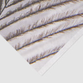 Peacock-doezelaar 3 debetpapier tissuepapier (Detail)