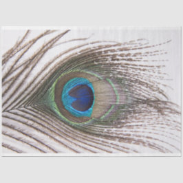 Peacock-doezelaar 3 debetpapier tissuepapier