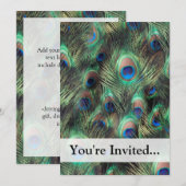 Peacock-doezelachtergrond Kaart (Voorkant / Achterkant)