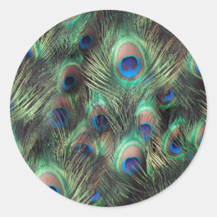 Peacock-doezelachtergrond Ronde Sticker