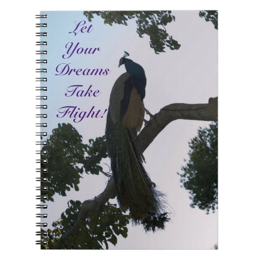 Peacock Dreams Notitieboek (Voorkant)