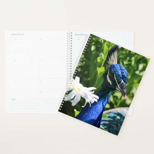 Peacock en Daisy Planner (Display)