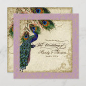 Peacock en Feathers Pleal Wedding Invite Lavender Kaart (Voorkant / Achterkant)