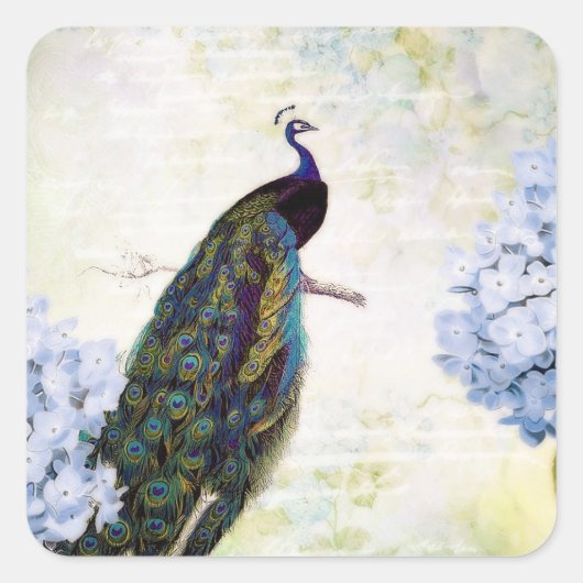Peacock en hydrangea vierkante sticker (Voorkant)