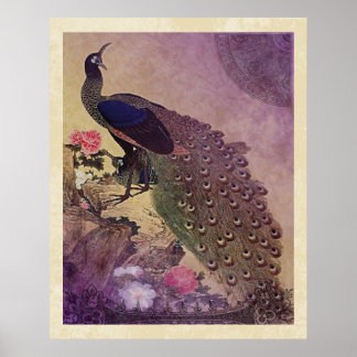 Peacock en Japanse pony's afdrukken Poster