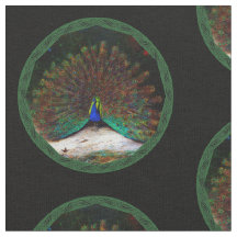 Peacock en Peacock Butterfly