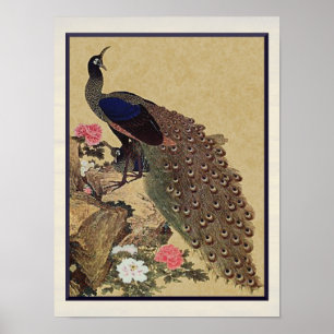 Peacock en Peonies  Japanse fijne kunst Poster