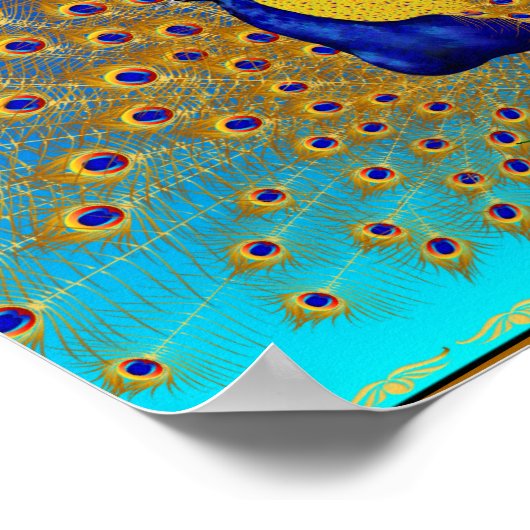 Peacock en Rozen breed Poster (Hoek)