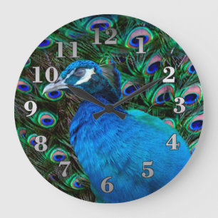 Peacock en Veer Grote Klok