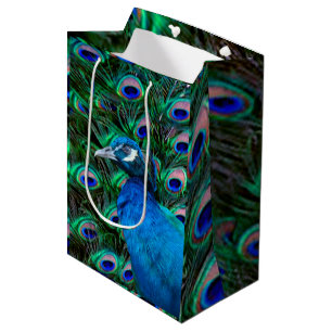 Peacock en Veer Medium Cadeauzakje