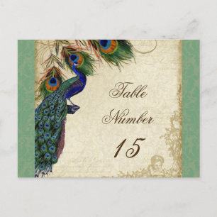 Peacock en veren Formele weddenschappen Briefkaart