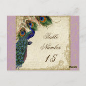 Peacock en veren Formele weddenschappen Briefkaart (Achterkant)