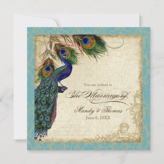 Peacock en veren Plechtige bruiloft Noite Aqua Blu Kaart (Voorkant)