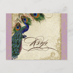 Peacock en veren Plechtige bruiloft RSVP Reactie Uitnodiging Briefkaart