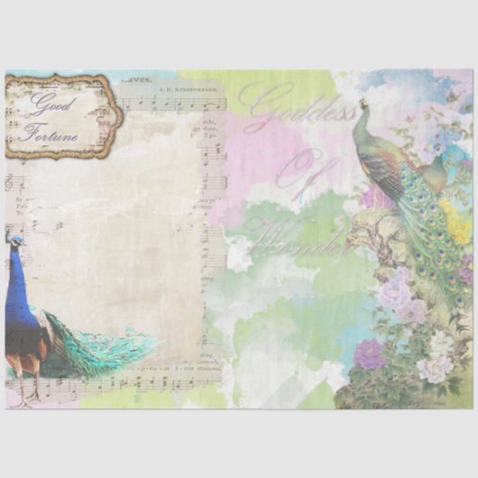 Peacock Ephemera 5 Tissuepapier (Voorkant)