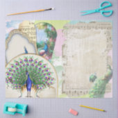 Peacock Ephemera 6 Tissuepapier (Craft)