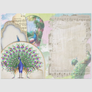 Peacock Ephemera 6 Tissuepapier